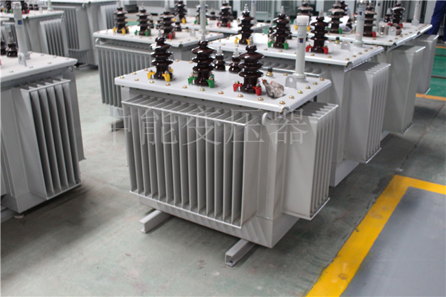 张家口S22-100KVA/10KV/0.4KV变压器